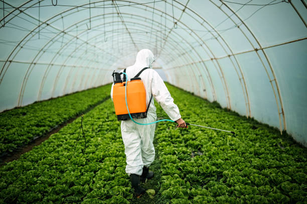 Best Best Pest Control Companies  in Festus, MO