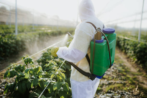 Best Wildlife Control Services  in Festus, MO
